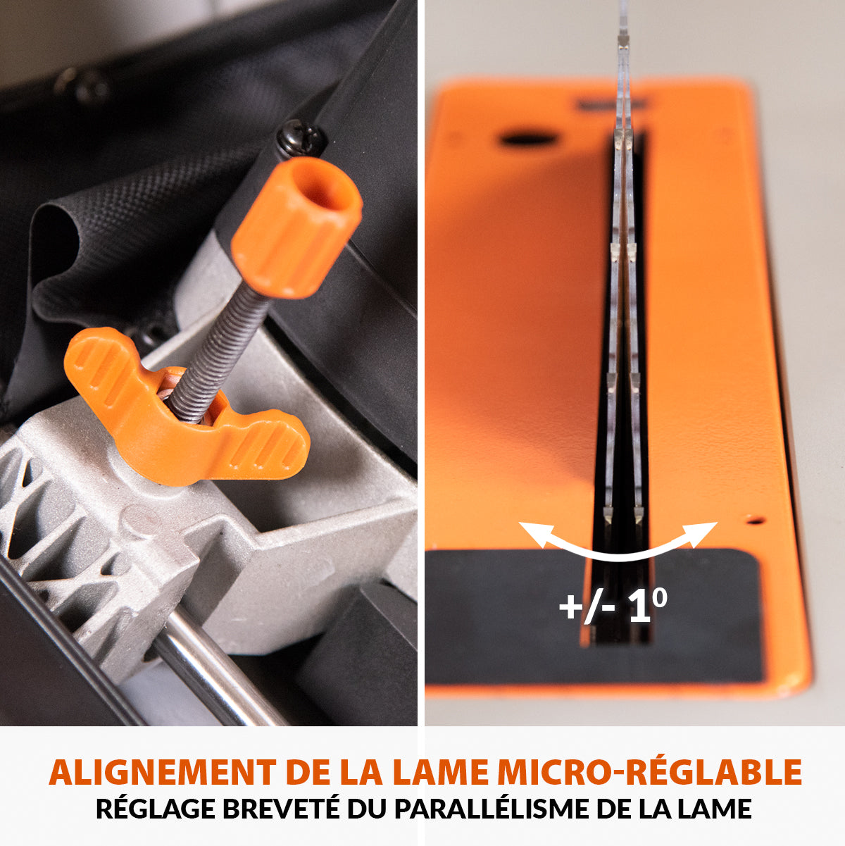 Scie sur table Evolution R255TBL 255mm 1650W avec lame multi-matériaux TCT
