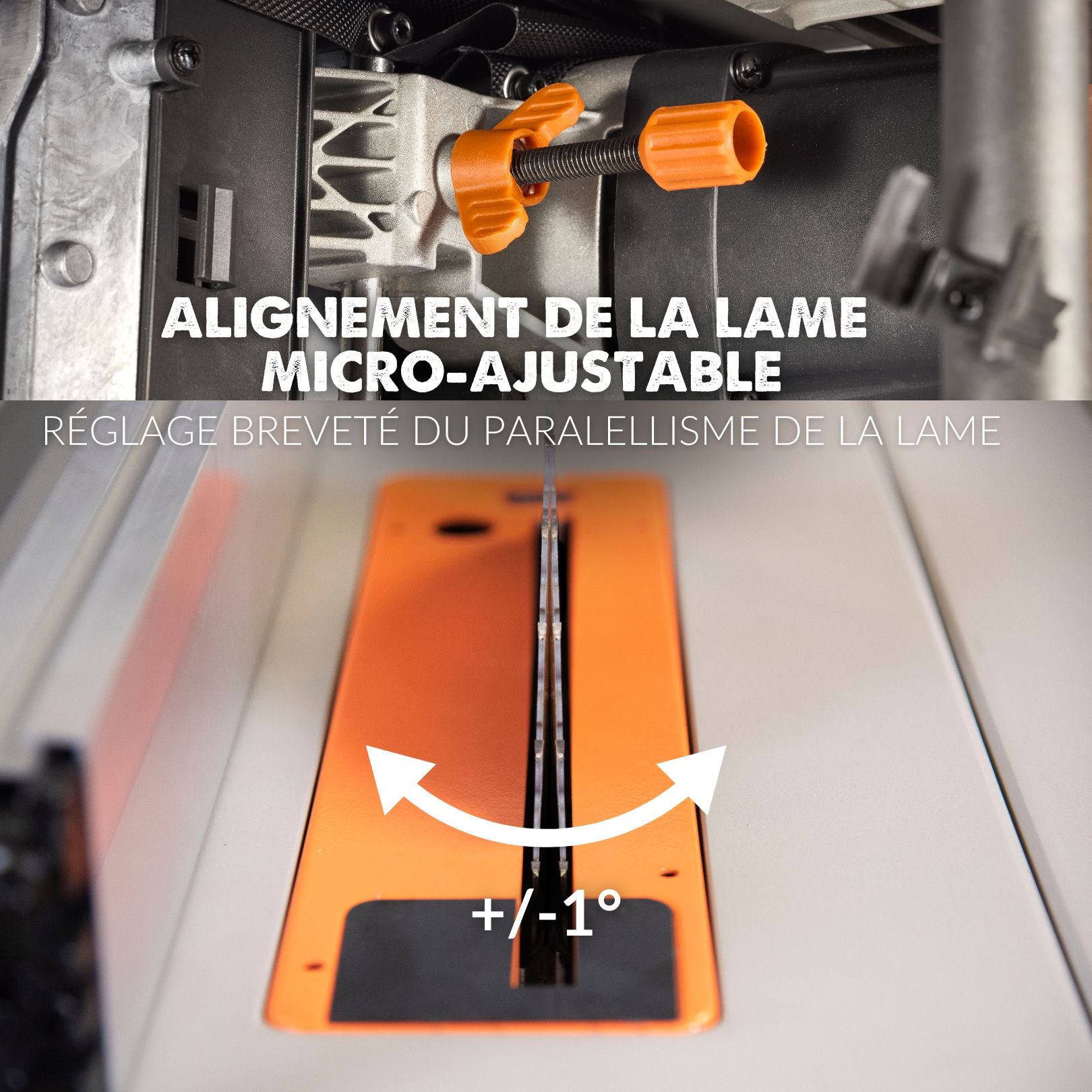 Scie sur table Evolution R255TBL+ 255mm 1800W avec lame multi-matériaux TCT+ Support roulant pliable