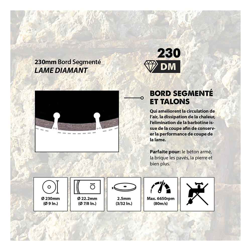 Disque diamant segmenté 230mm alésage 22,2mm Evolution pour scie à béton