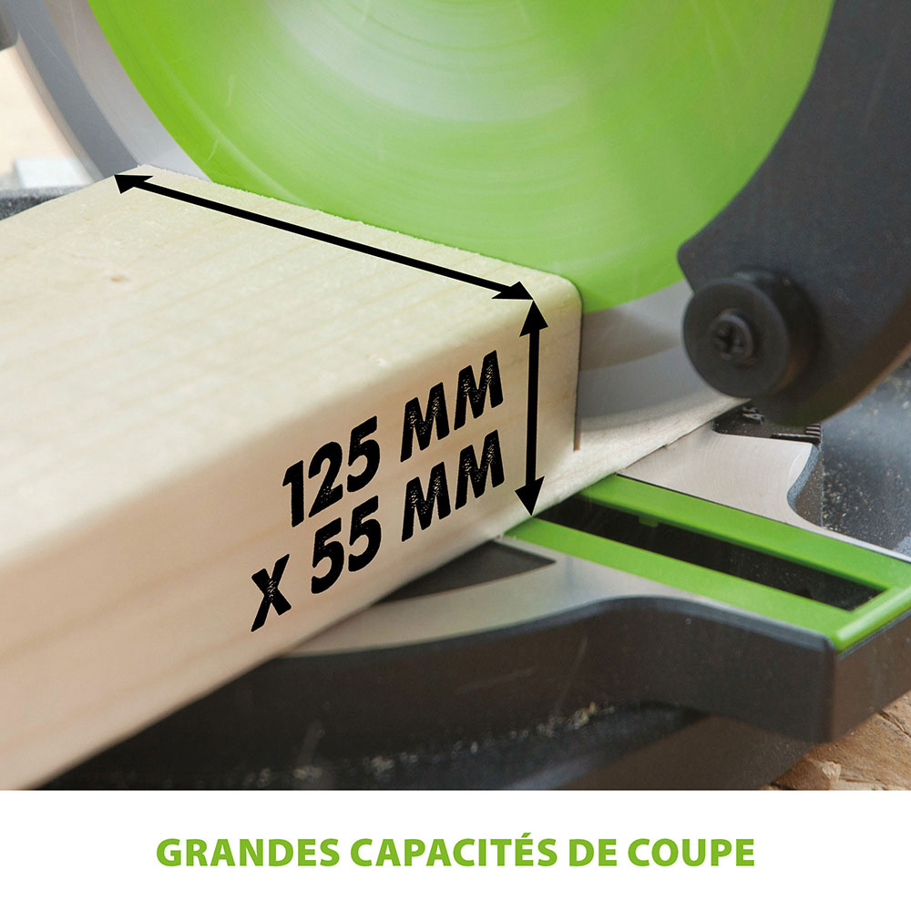 Scie à onglet 210mm Evolution F210CMS avec lame multi-matériaux TCT